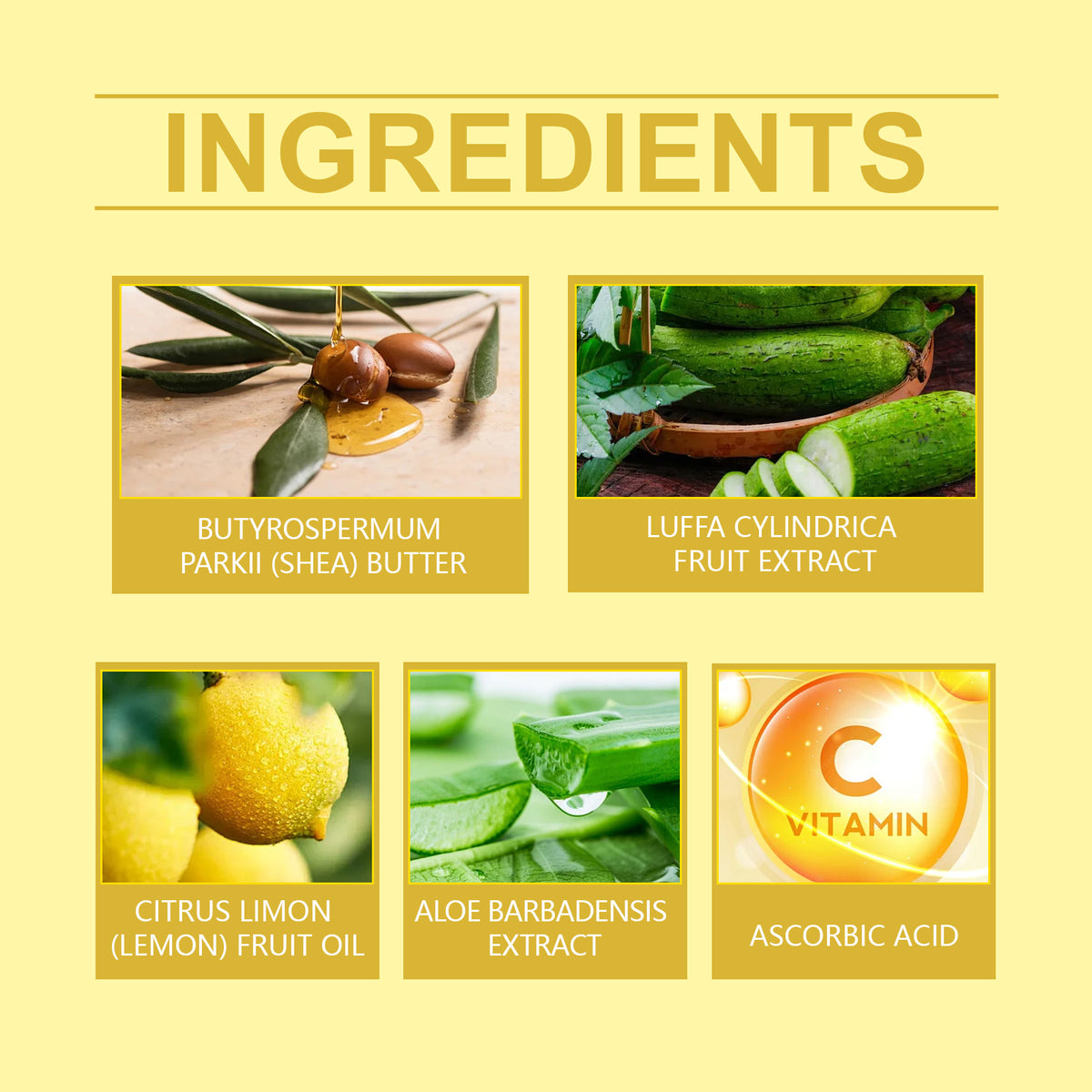 13ba5017-a3a9-47c3-9aac-ccc81191dda2