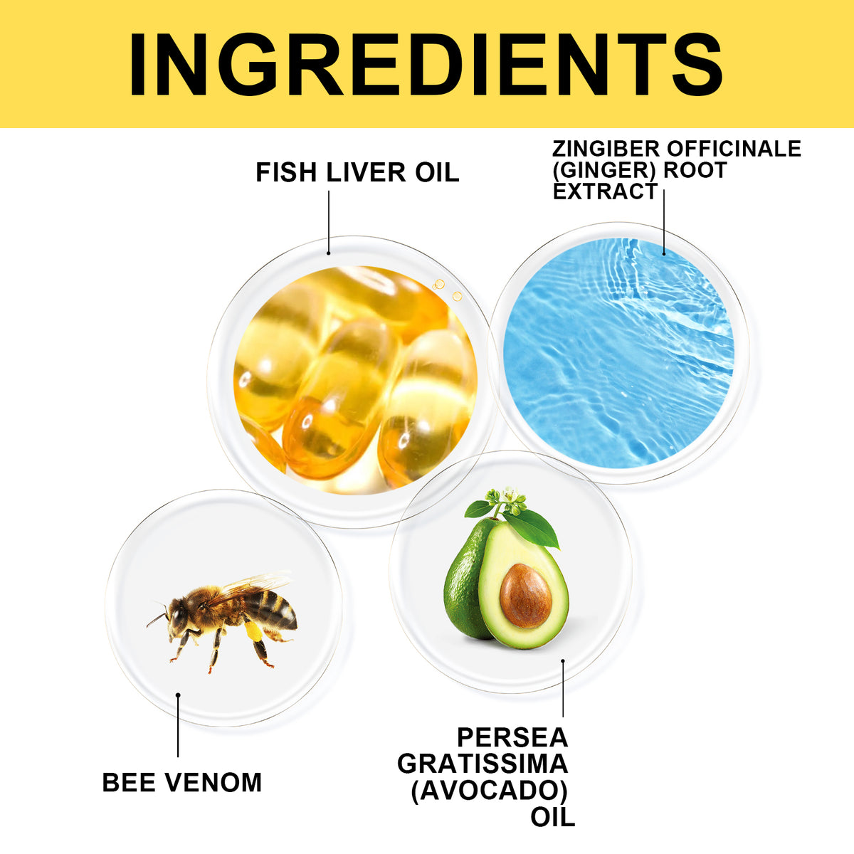 2c51bcaf-0c93-4520-b524-f2885822fe9a